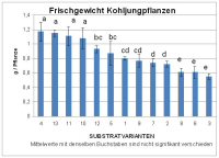 Statistik Kohl